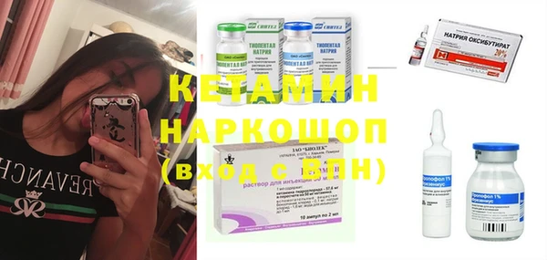 молекула духа Кулебаки