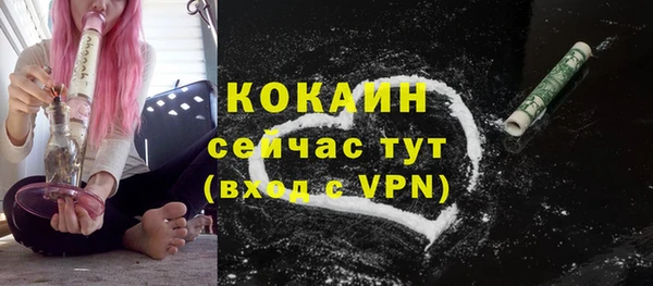 спиды Мегион