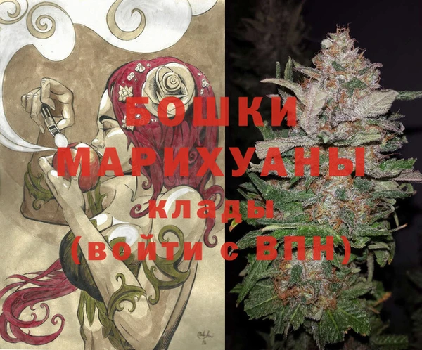молекула духа Кулебаки