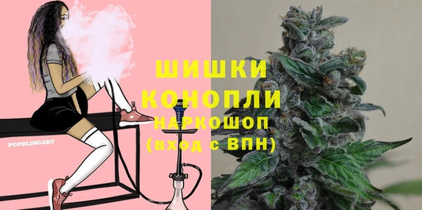 a pvp Аркадак