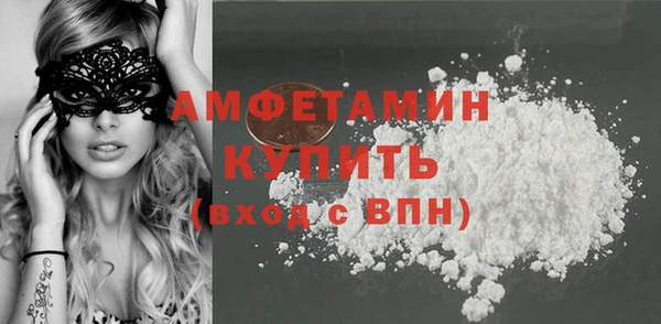 молекула духа Кулебаки