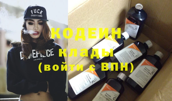 молекула духа Кулебаки
