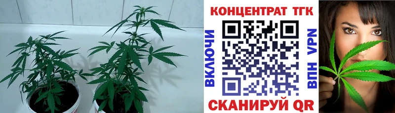 hydra ссылка  Чита  ТГК концентрат 