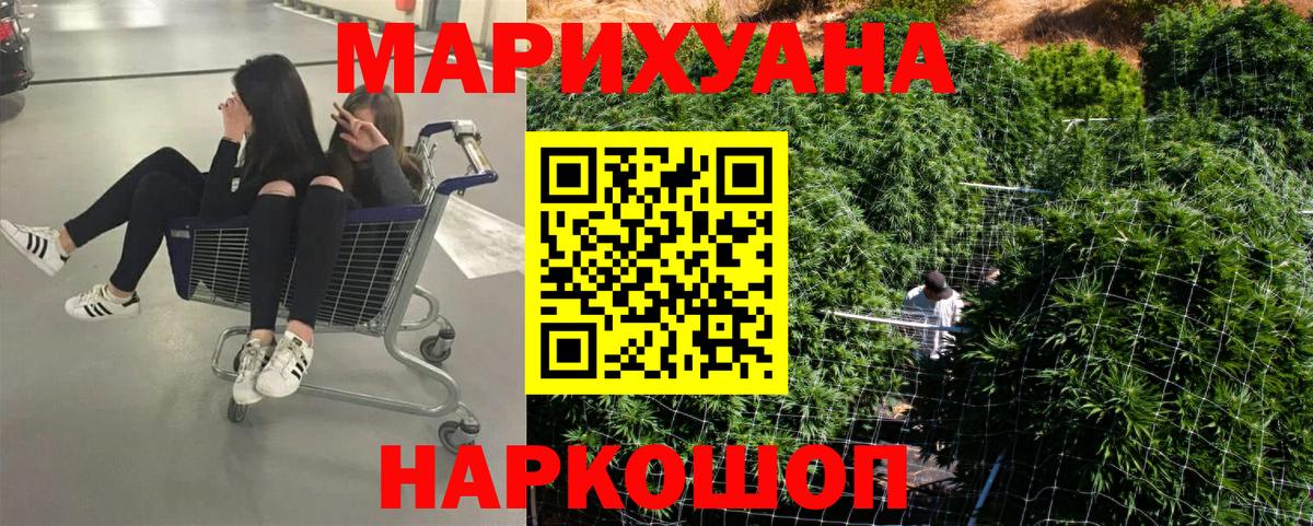 Бошки Шишки план  Вход с VPN  Шишки марихуана Ganja  Чита 